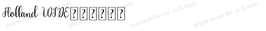 Holland WIDE字体转换